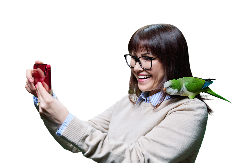 Bird Genetic Test